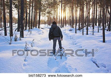 Stock Image - Mari man snowshoeing on snowy path. Fotosearch