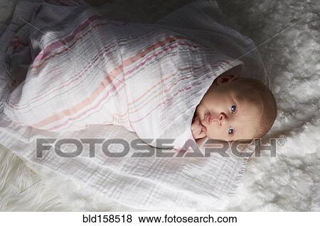 Newborn baby swaddled in blanket View Large Photo Image Stock Photo - Newborn baby swaddled in blanket. Fotosearch