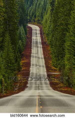 Picture - Road on hill through rural forest. Fotosearch