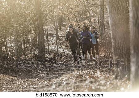 Stock Image - Runners jogging on dirt path in forest. Fotosearch