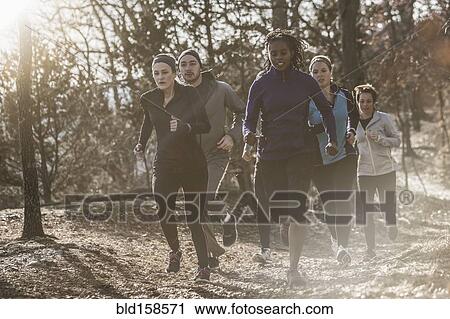 Stock Image - Runners jogging on dirt path in forest. Fotosearch