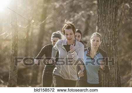 Stock Image - Runners jogging on dirt path in forest. Fotosearch