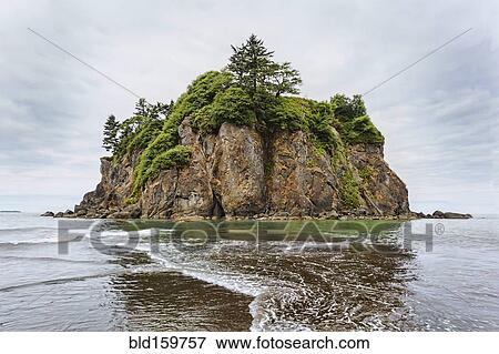 Stock Photo - Sea stack on Ruby Beach, Kalaloch, Washington, United States. Fotosearch
