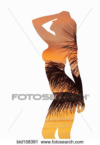 Stock Image - Silhouette of Caucasian woman with palm leaves and sunset. Fotosearch