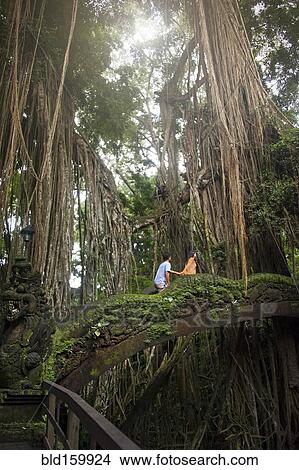 Picture - Tourists climbing bridge in jungle. Fotosearch
