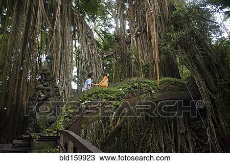 Stock Image - Tourists climbing bridge in jungle. Fotosearch