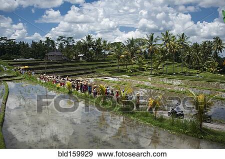 Stock Photo - Tourists walking on rural field between farm fields. Fotosearch