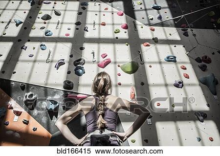 Athlete examining rock wall in gym View Large Photo Image Stock Photography - Athlete examining rock wall in gym. Fotosearch