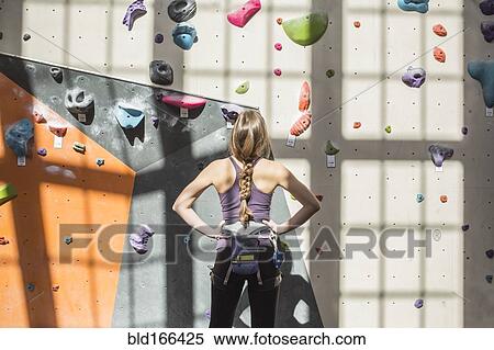 Athlete examining rock wall in gym View Large Photo Image Stock Photography - Athlete examining rock wall in gym. Fotosearch