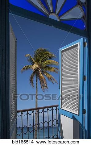 Picture - Balcony doors overlooking palm tree and ocean. Fotosearch