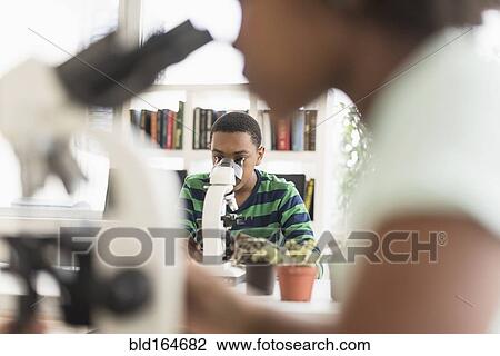 Black students using microscopes in science lab View Large Photo Image Stock Image - Black students using microscopes in science lab. Fotosearch