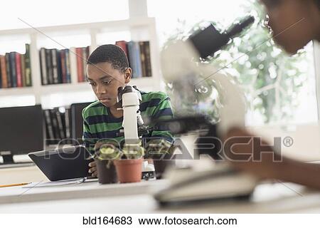 Black students using microscopes in science lab View Large Photo Image Stock Image - Black students using microscopes in science lab. Fotosearch
