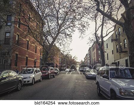 Picture - Cars parked in city street. Fotosearch