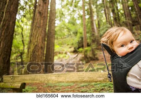 Picture - Caucasian baby girl riding in backpack in forest. Fotosearch