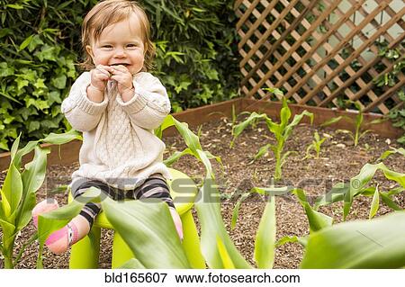 Caucasian baby girl sitting on stool in vegetable garden View Large Photo Image Stock Photo - Caucasian baby girl sitting on stool in vegetable garden. Fotosearch