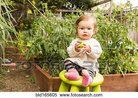Stock Photography - Caucasian baby girl sitting on stool in vegetable garden. Fotosearch