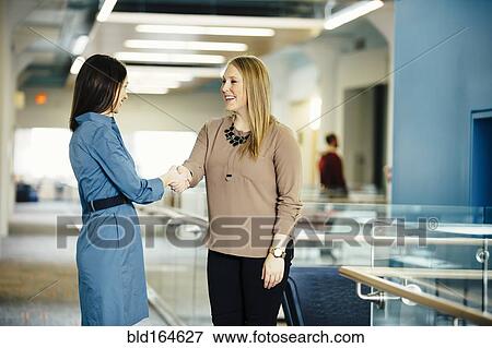 Caucasian businesswomen shaking hands in office View Large Photo Image Stock Photo - Caucasian businesswomen shaking hands in office. Fotosearch