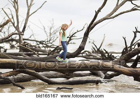Stock Photo - Caucasian girl walking on driftwood tree. Fotosearch