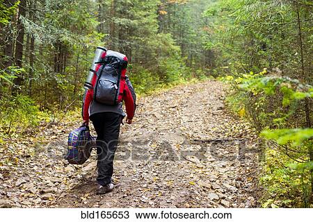 Caucasian hiker carrying guitar on forest path View Large Photo Image Stock Image - Caucasian hiker carrying guitar on forest path. Fotosearch