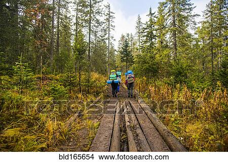 Caucasian hikers walking on forest path View Large Photo Image Picture - Caucasian hikers walking on forest path. Fotosearch