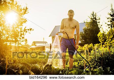 Stock Photograph - Caucasian man watering plants in backyard. Fotosearch