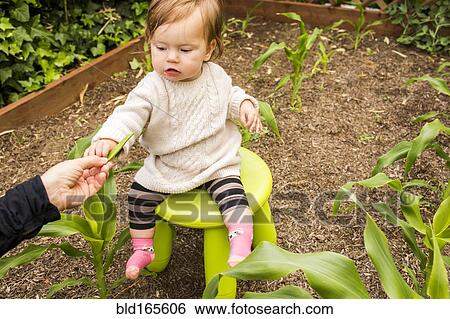 Caucasian mother giving vegetable to daughter in garden View Large Photo Image Stock Photograph - Caucasian mother giving vegetable to daughter in garden. Fotosearch