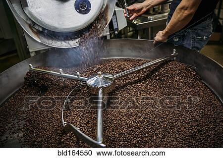 Stock Image - Caucasian roaster working on coffee in machinery. Fotosearch