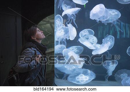 Picture - Caucasian woman admiring jellyfish in aquarium. Fotosearch