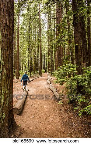 Stock Photo - Caucasian woman balancing on log in forest. Fotosearch