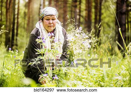 Stock Photo - Caucasian woman gathering wildflowers in forest. Fotosearch