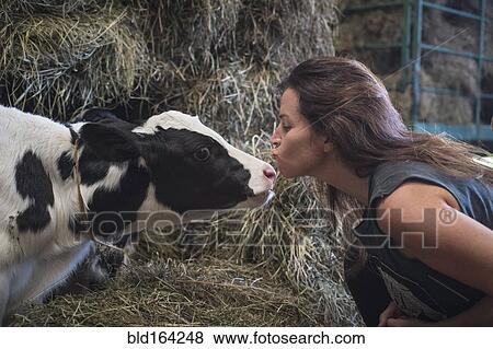 Stock Photo - Caucasian woman kissing cow in barn. Fotosearch