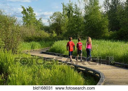 Children walking on wooden walkway in wetland marsh View Large Photo Image Stock Image - Children walking on wooden walkway in wetland marsh. Fotosearch