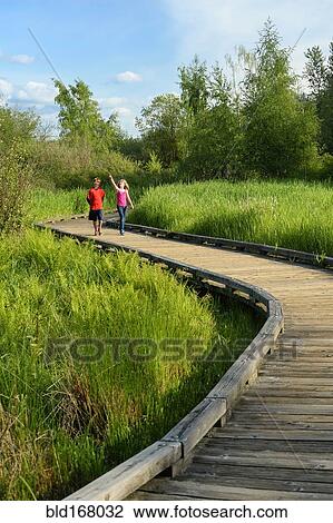 Children walking on wooden walkway in wetland marsh View Large Photo Image Stock Image - Children walking on wooden walkway in wetland marsh. Fotosearch