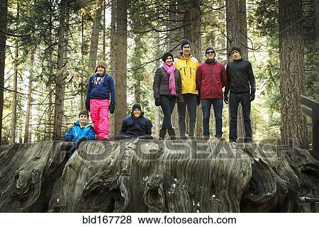 Family standing on enormous stump in forest View Large Photo Image Stock Photo - Family standing on enormous stump in forest. Fotosearch