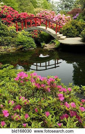Stock Image - Footbridge and lush plants in park. Fotosearch