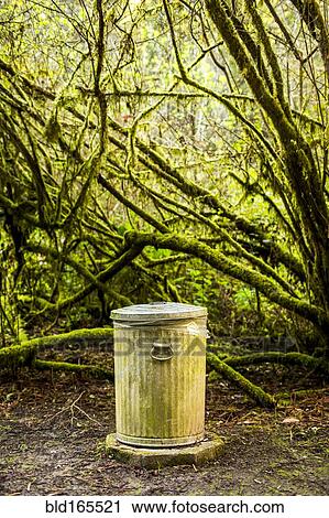 Garbage can in mossy forest View Large Photo Image Stock Image - Garbage can in mossy forest. Fotosearch
