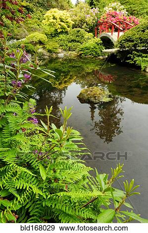 Stock Photo - High angle view of bridge and lush plants in park. Fotosearch