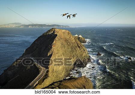 High angle view of geese flying over Marin Headlands, Sausalito, California, United States View Large Photo Image Picture - High angle view of geese flying over Marin Headlands, Sausalito, California, United States. Fotosearch