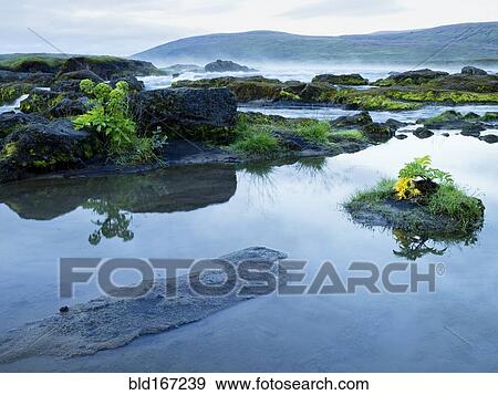Stock Photo - High angle view of still pond near remote waterfall. Fotosearch