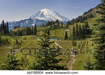 Picture - Hikers on remote trail overlooking Mt Rainier, Washington, United States. Fotosearch