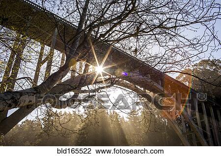 Stock Image - Low angle view of bridge under bare trees. Fotosearch
