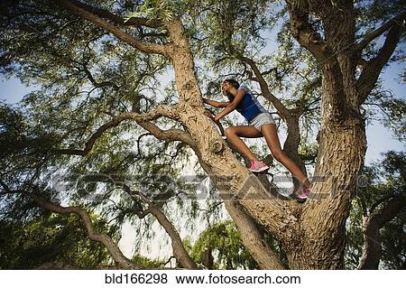Stock Photo - Low angle view of mixed race girl climbing tree. Fotosearch