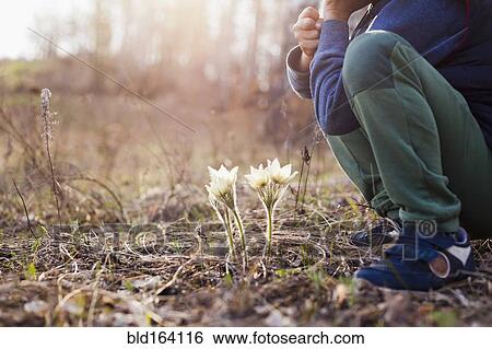 Mari boy crouching near flowers in forest View Large Photo Image Stock Photograph - Mari boy crouching near flowers in forest. Fotosearch