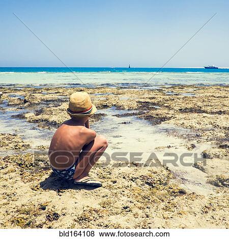Mari boy exploring tidal pool on beach View Large Photo Image Stock Photo - Mari boy exploring tidal pool on beach. Fotosearch