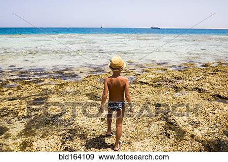 Mari boy exploring tidal pool on beach View Large Photo Image Stock Photo - Mari boy exploring tidal pool on beach. Fotosearch