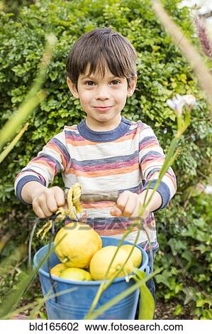 Stock Image - Mixed race boy showing bucket of vegetables in garden. Fotosearch