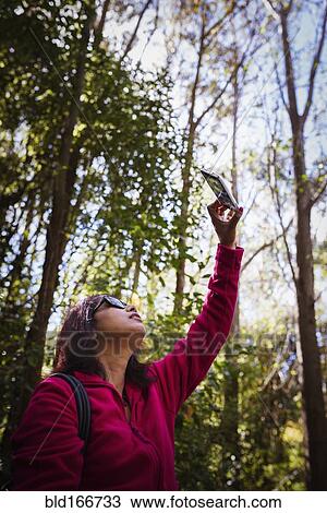 Mixed race woman photographing trees in forest View Large Photo Image Stock Image - Mixed race woman photographing trees in forest. Fotosearch