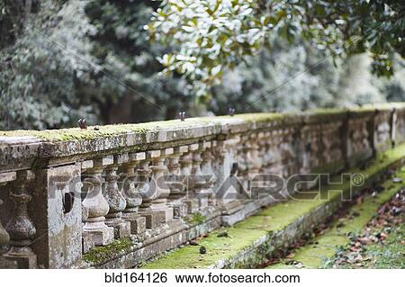 Mossy pillar wall by park trees View Large Photo Image Stock Photograph - Mossy pillar wall by park trees. Fotosearch