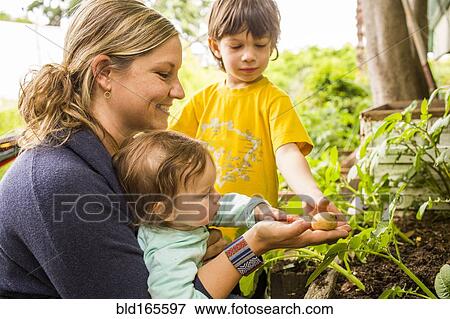 Stock Photo - Mother and children admiring vegetable in garden. Fotosearch