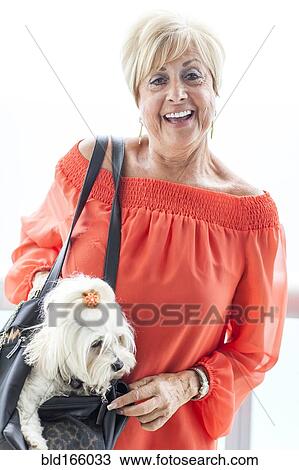 Older Caucasian woman carrying dog in purse View Large Photo Image Stock Image - Older Caucasian woman carrying dog in purse. Fotosearch